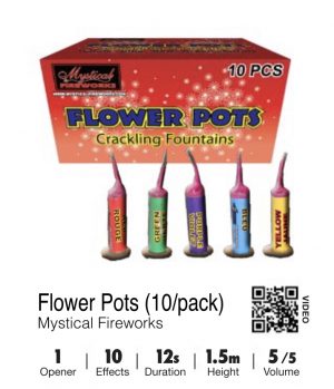 Flower Pots ( 10 pack )